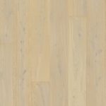 Roble blanco margarita